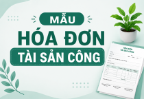 Mẫu hóa đơn tài sản công 