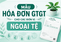 Mẫu hóa đơn GTGT cho đơn vị ngoại tệ 