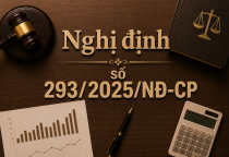 Nghị định số 293/2025/NĐ-CP