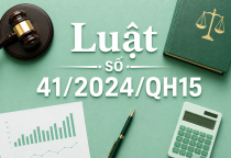 Luật số 41/2024/QH15 