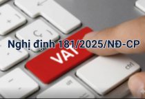 Nghị định 181/2025/NĐ-CP