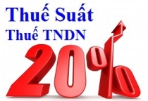 Hướng dẫn tờ khai mẫu số 03/TNDN - Tờ khai quyết toán thuế thu nhập doanh nghiệp