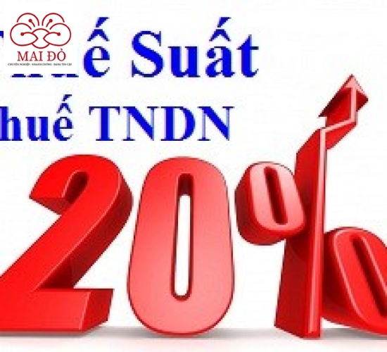 Hướng dẫn tờ khai mẫu số 03/TNDN - Tờ khai quyết toán thuế thu nhập doanh nghiệp
